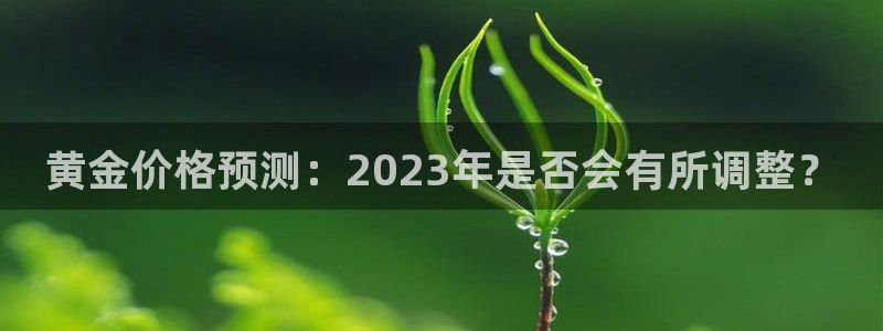 永利皇官电子游戏官网：黄金价格预测：2023年是否会有所调整？