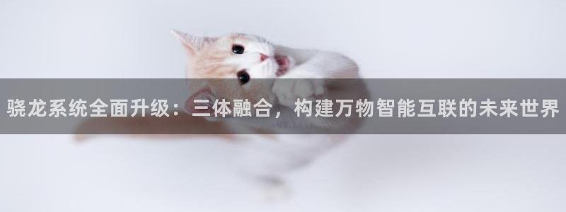 永利皇官退款怎么退：骁龙系统全面升级：三体融合，构建万物智能互联的未来世界