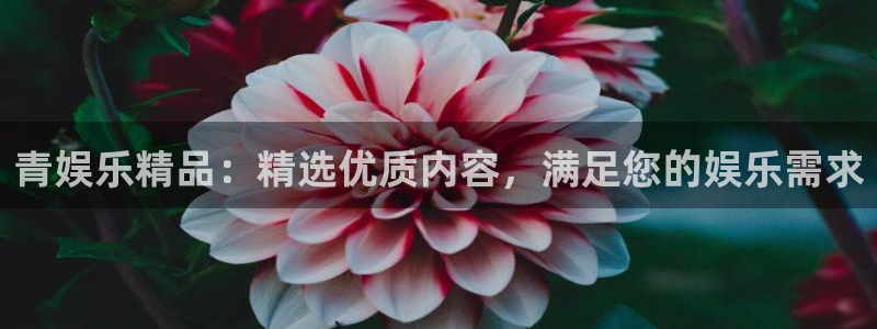 永利皇官下载：青娱乐精品：精选优质内容，满足您的娱乐需求