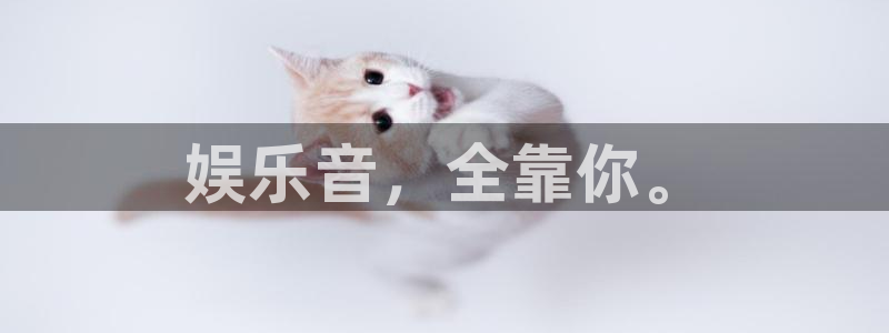 壹号电子娱乐app下载官网：娱乐音，全靠你。