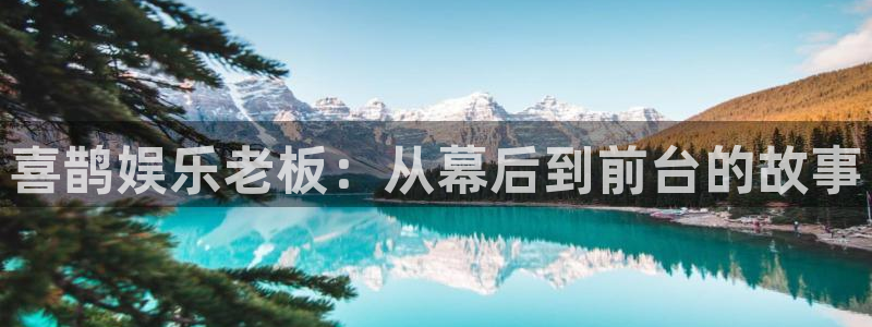 永利皇官app最新版怎么下载苹果：喜鹊娱乐老板：从幕后到前台的故事