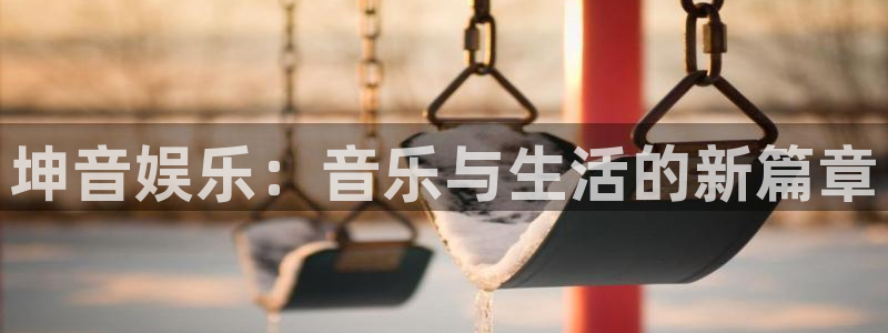 壹号注册入口app下载：坤音娱乐：音乐与生活的新篇章