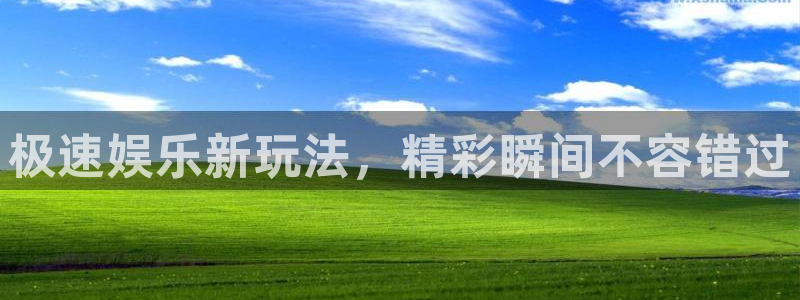 永利皇官,apk.：极速娱乐新玩法，精彩瞬间不容错过