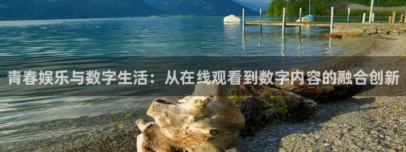 永利皇官app：青春娱乐与数字生活：从在线观看到数字内容的融合创新