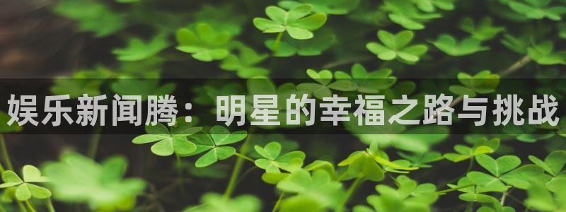 壹号平台app下载安装：娱乐新闻腾：明星的幸福之路与挑战