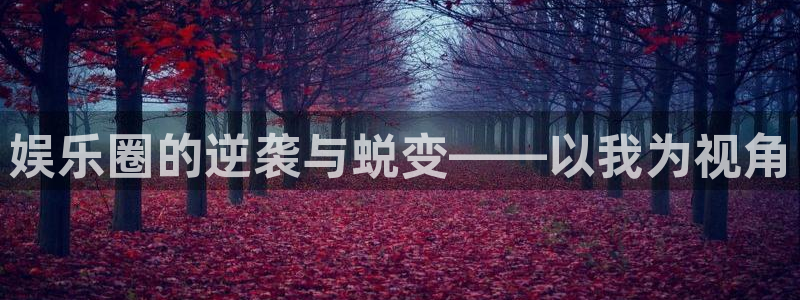 壹号大舞台官网：娱乐圈的逆袭与蜕变——以我为视角