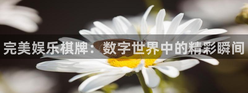 壹号大舞台官网