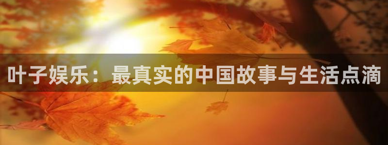 永利皇官app入口