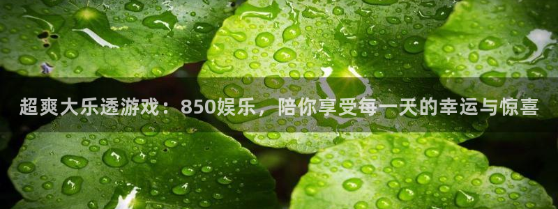 永利皇官,apk.1：超爽大乐透游戏：850娱乐，陪你享受每一天的幸运与惊喜