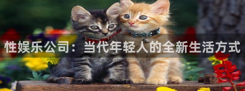 永利皇官app官网下载：性娱乐公司：当代年轻人的全新生活方式