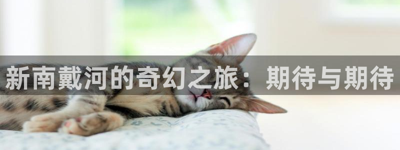 壹号大舞台怎么下载